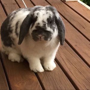 Meet your Posher, Anita